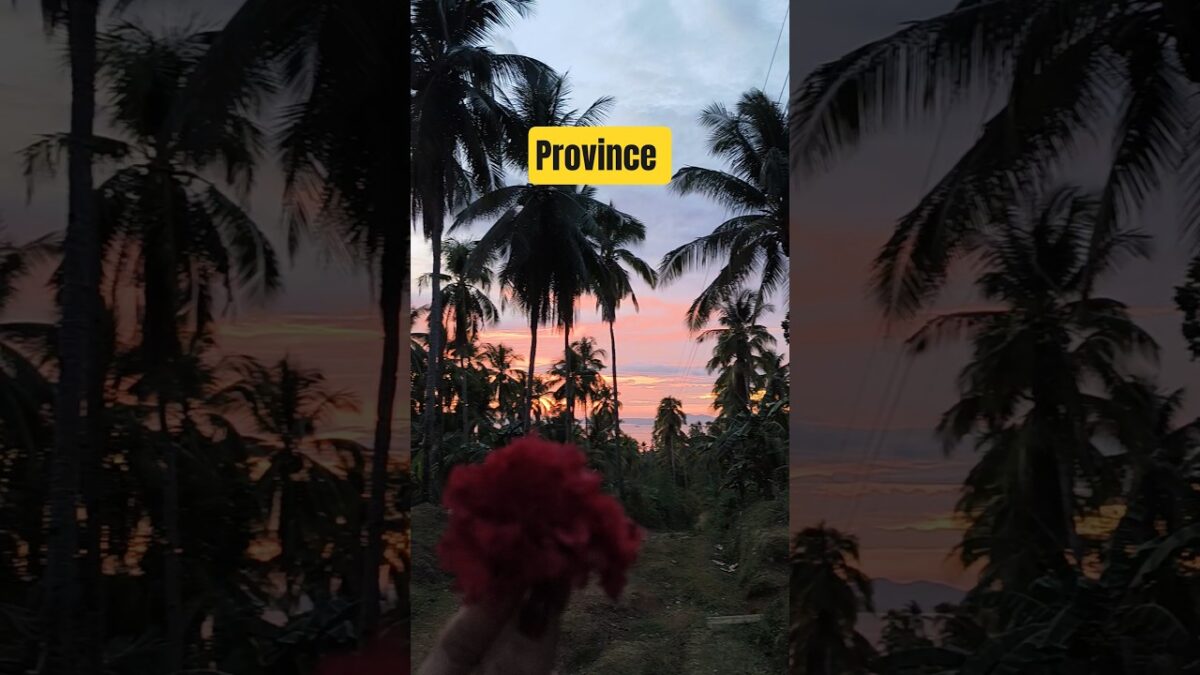 Nature of Province Life #shorts #nature #asmr #relaxing #province #birds #chicken #sunset #trending