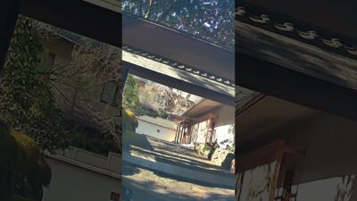 湯河原 海石榴 Part1｜到着シーン｜Tsubaki Ryokan Arrival 4K Vertica