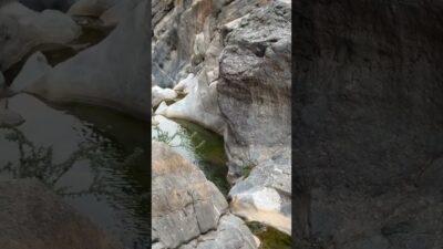 Peaceful  Nature ASMR Vibe Hidden Mountain Stream Pure Calm in the Rocks#relaxing #shorts #nature