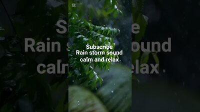 Rain & Storm Sounds 🌧️ Tree Movement | Relaxing Nature ASMR #rainoundforsleep #heavyraining