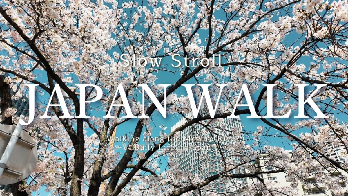 Walking in Japan | Meguro River – Apr. 2026 [4K – DJI Osmo Pocket 3]