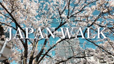 Walking in Japan | Meguro River – Apr. 2026 [4K – DJI Osmo Pocket 3]