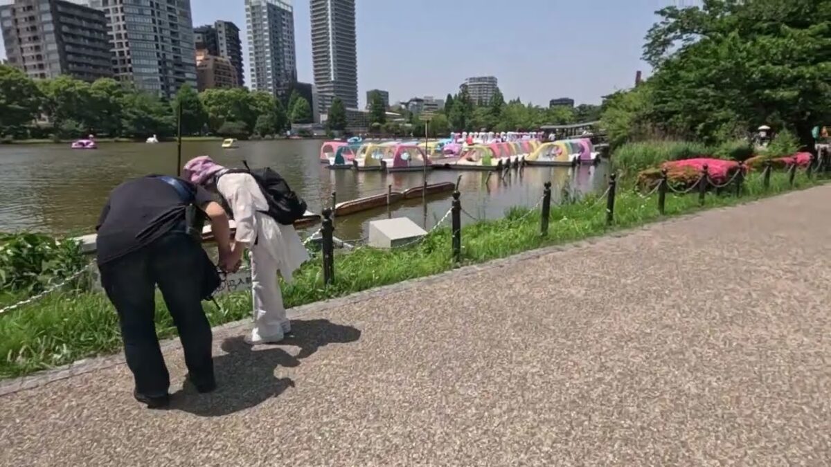 【Walking in Japan】 Ueno park – Experience Tranquility in Tokyo – Sunny Day Stroll ♫🎹 Johnny JAM🎸
