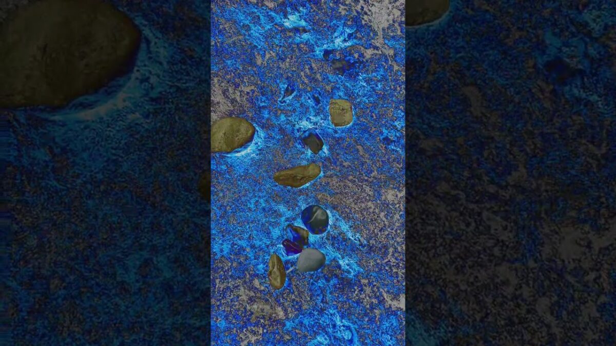 What is it? Does anyone know and comments? 💡 #nature #asmr #shorts