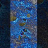 What is it? Does anyone know and comments? 💡 #nature #asmr #shorts