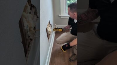 What’s In Your Walls?