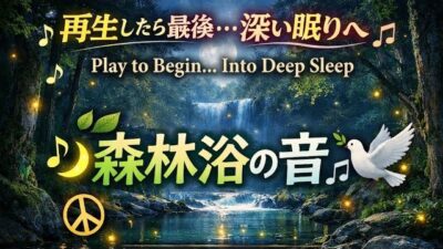 “再生したら最後…深い眠りへ 🌿 森林浴の音 | Zen Soundscape”