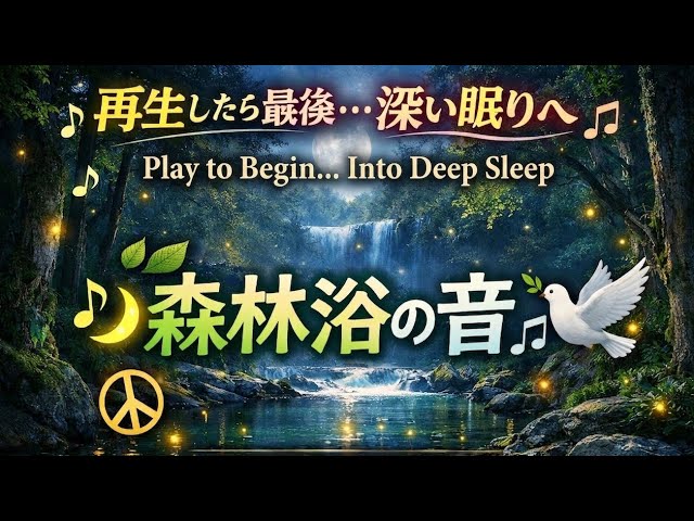 “再生したら最後…深い眠りへ 🌿 森林浴の音 | Zen Soundscape”