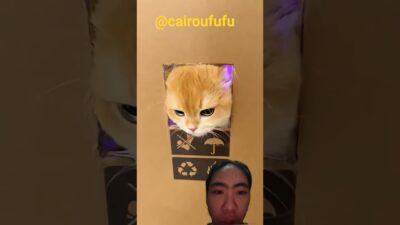 ada apa d dalam kardus⁉️⁉️@cairoufufu#shortvideo #shorts #funny