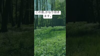 #リラックス #眠る #癒し #睡眠bgm #5分で寝れる #環境音 #寝落ち音楽 #深い眠り #森林浴