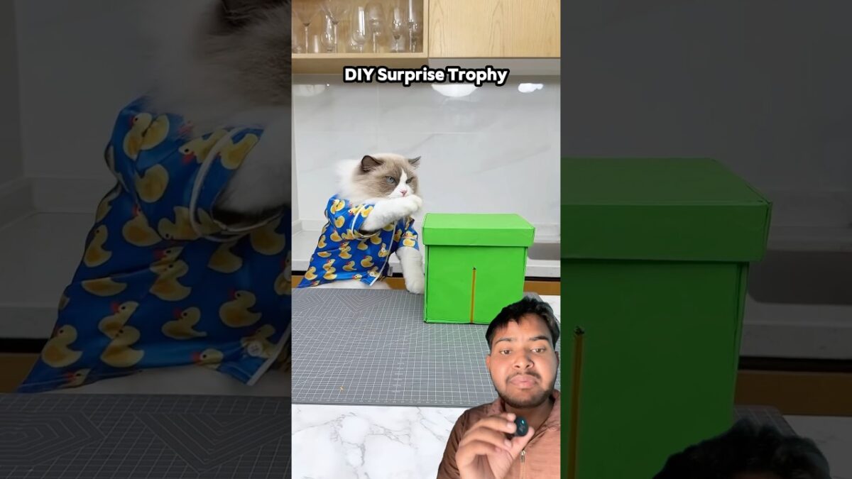 box me kya hai #shorts #viral #video