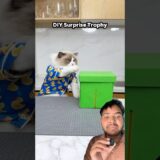 box me kya hai #shorts #viral #video