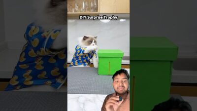 box me kya hai #shorts #viral #video