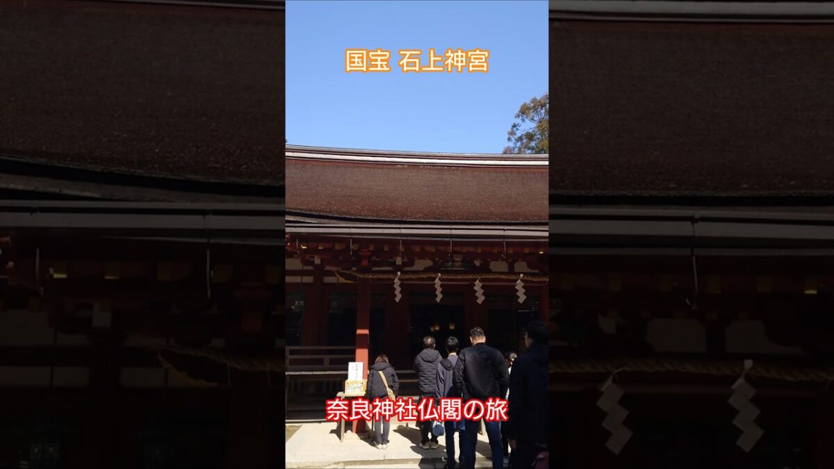 石上神宮 in 天理市 -2026.03- #神社 #神社巡り #国宝 #shorts