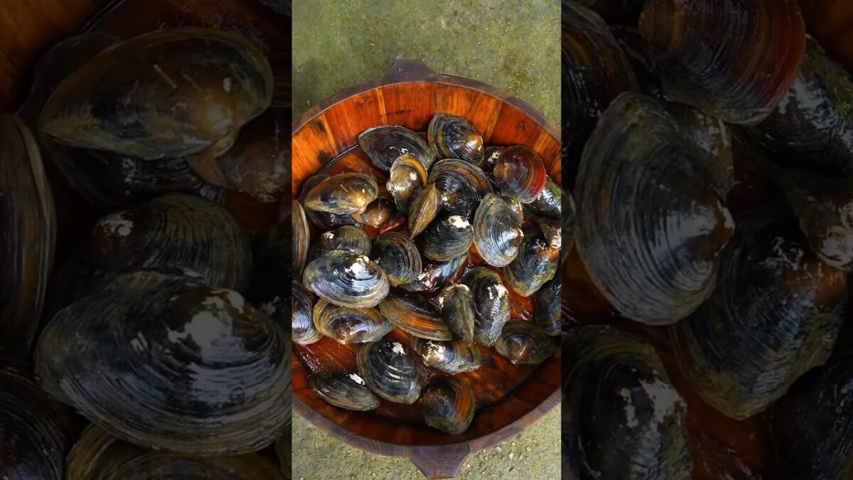 #nature #asmr #smartfarming #chinesefood #easyfarming