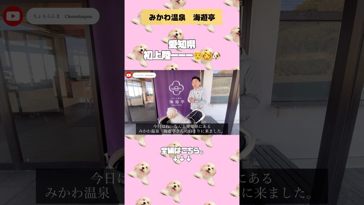 【切り抜き】【ルームツアー】海が広がる特別室「離れゆらぎ」に泊まってみた！ #shorts #犬連れ旅行 #愛知県 #みかわ温泉 #ルームツアー #愛犬 #キャバション #ちょもらんま