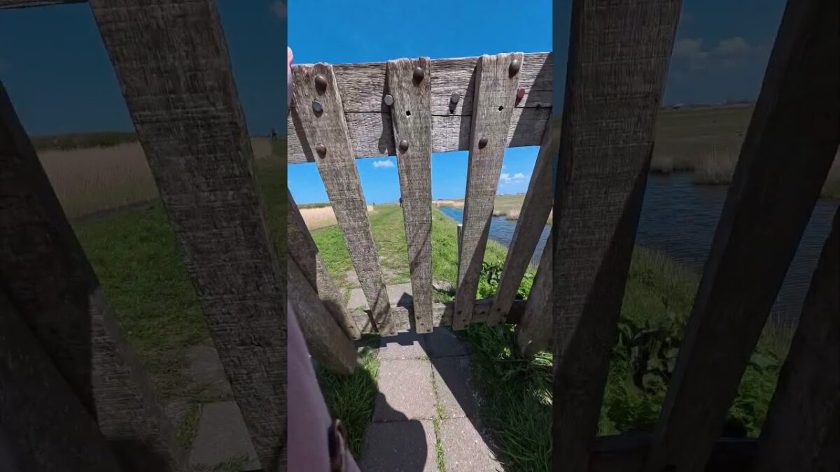 soft everyday moments – home, errands and nature #asmr #softasmr #pov #softlife #quietmoments