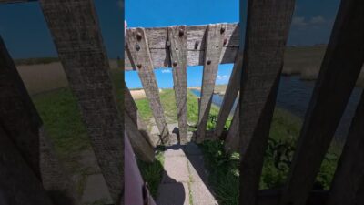 soft everyday moments – home, errands and nature #asmr #softasmr #pov #softlife #quietmoments