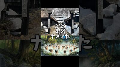 混浴行った結果、男しかいない#温泉 #日本一周 #秋田 #一人旅 #車中泊