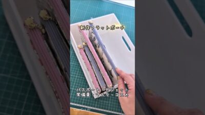 旅行の「あれどこ？」がなくなるポーチ #トラベルポーチ #パスポートポーチ #ガジェットポーチ #パッキング