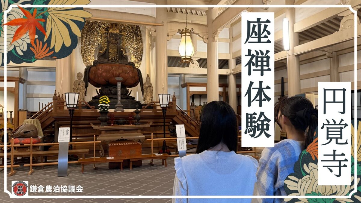 【鎌倉の朝】円覚寺で自分を見つめる。静寂に包まれる座禅体験と心の浄化