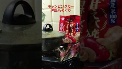 キャンピングカー一人旅。伊豆の温泉最高ー！伊豆５連泊❤　(ӦｖӦ｡)