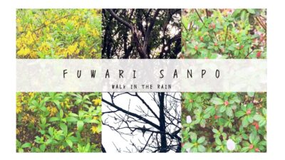 雨の日散歩｜雨音に癒される【お家で楽しむ季節のお便り】