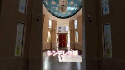 【札幌売買物件】まるでシンデレラ城のような無料温泉付きのお部屋が中央区にありました‼︎＃家選び＃不動産 #不動産の依頼所#ルームツアー#ホーム