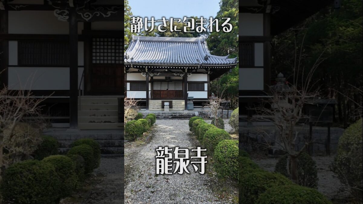 【静寂に包まれる】龍泉寺（大阪・富田林市）｜なぜか落ち着く癒やしの古刹