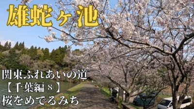 雄蛇ヶ池：桜と切通しと寺社巡り【関東ふれあいの道攻略 千葉⑧】桜をめでるみち