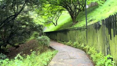雨音と鳥の声に癒される、静かな散歩