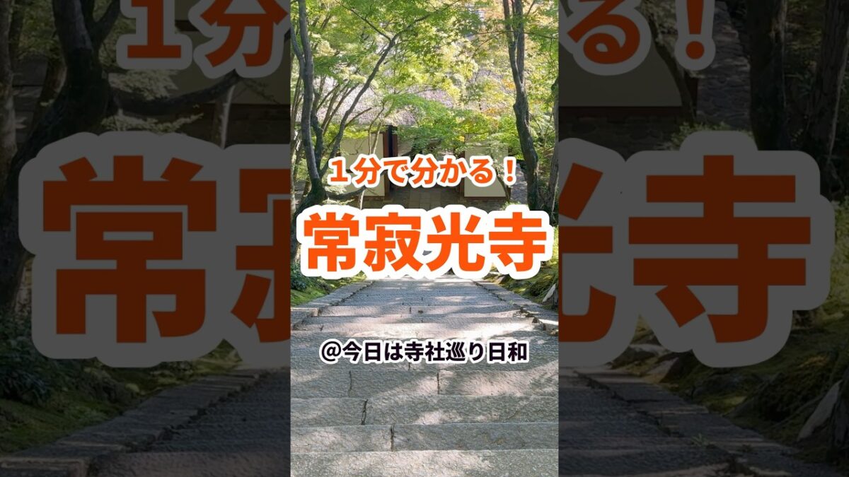 【京都観光】1分で分かる常寂光寺の見どころ