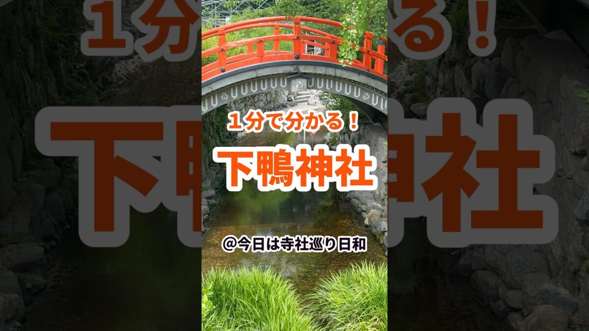 【京都観光】1分で分かる下鴨神社の見どころ