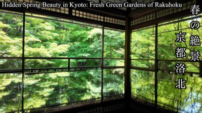 【2026京都春】妙満寺のツツジと瑠璃光院の新緑が見頃
