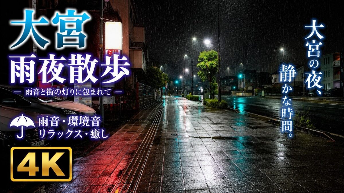 【大雨の夜散歩】大宫駅周辺を歩く｜激しい雨音と夜の街並み 4K ASMR