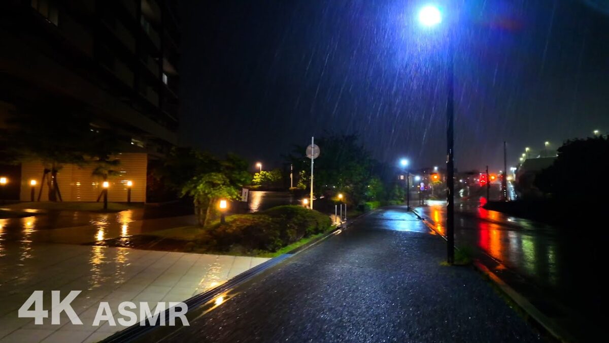 4K ASMR Walk | 傘を叩く激しい雨音 土砂降りの没入夜散歩 | 兵庫 三田 エスコヤマ〜平谷大橋〜ゆりのき台公園 周回 | DJI Osmo Pocket 3