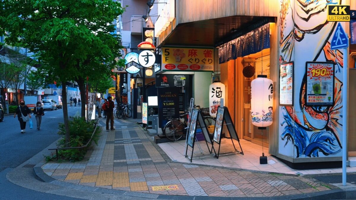 4K HDR Extremely Quiet Tokyo Walk ☁️ Peaceful Residential Streets from Kasai to Nishi-Kasai