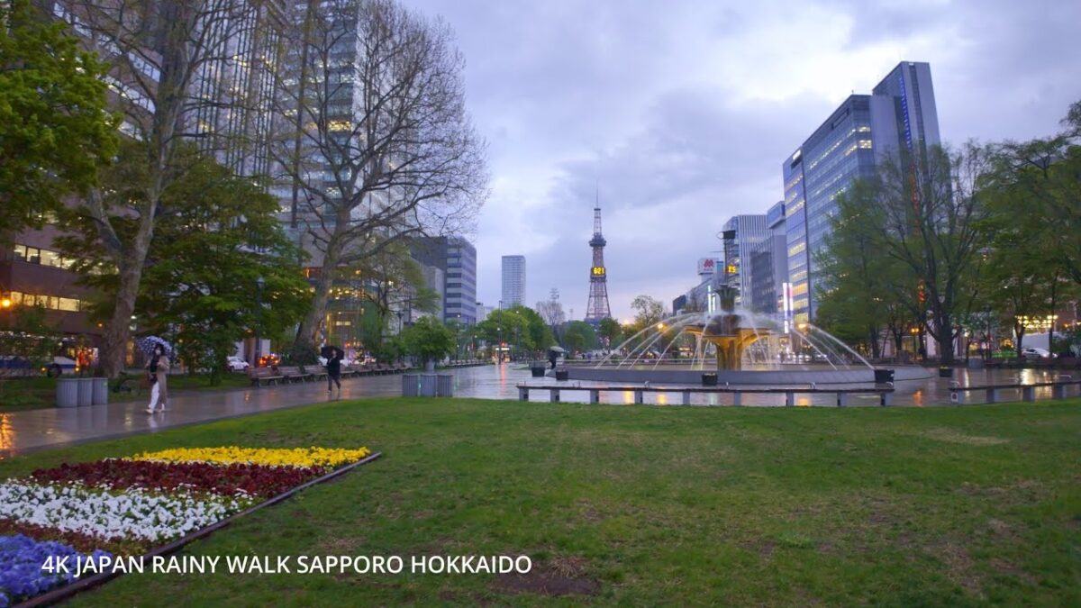 4K Japan rainy Walk Sappro Hokkaido May8,2026札幌大通公園を歩く