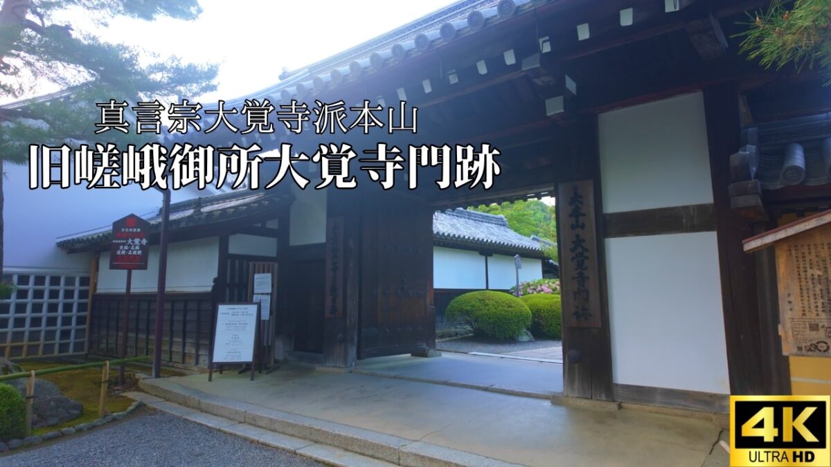 【4K 京都Vlog】新緑に包まれる大覚寺｜静寂の庭園と初夏の京都｜
