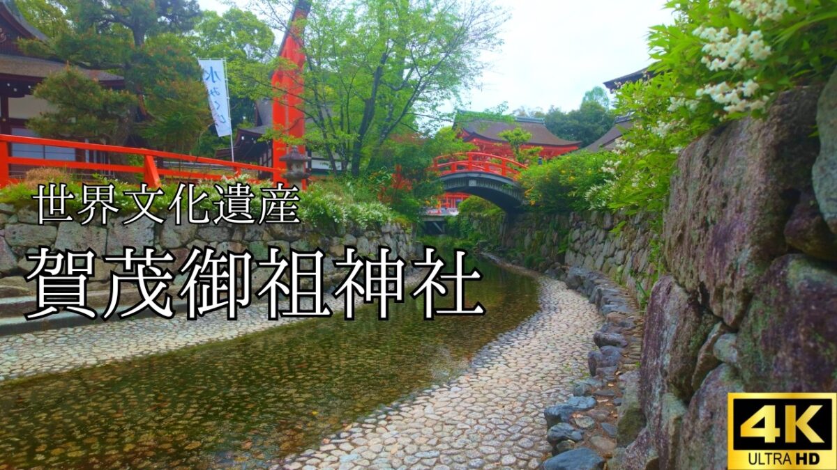 【4K 京都Vlog】下鴨神社をゆっくり散策｜自然と歴史に包まれて