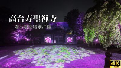 【4K 京都Vlog】高台寺 春の特別拝観｜幻想的なプロジェクションマッピングと夜の京都散歩｜2026