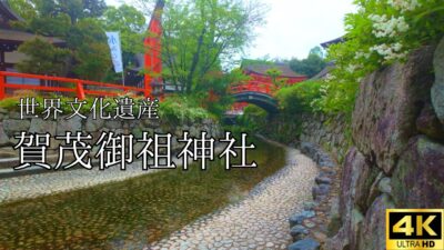 【4K 京都Vlog】下鴨神社をゆっくり散策｜自然と歴史に包まれて