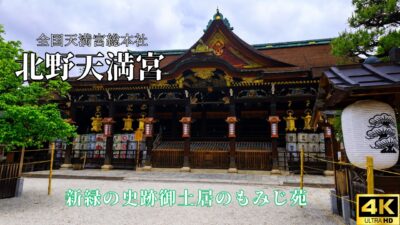 【4K 京都Vlog】北野天満宮 新緑のもみじ苑と史跡御土居｜青もみじに包まれる静かな散策｜Fresh Green Kyoto