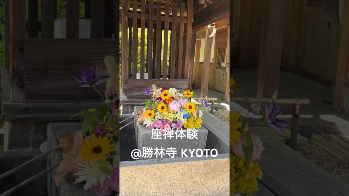 座禅体験@勝林寺【大人旅にオススメ】 #50代女性 #京都観光 #旅