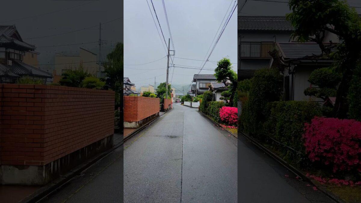 A Cozy Japanese Neighborhood After the Rain ☔️🇯🇵 #japan #walk #countryside