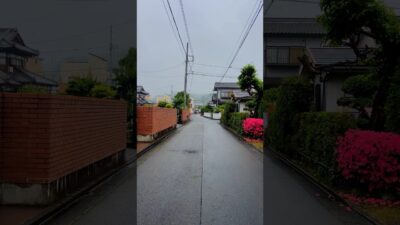 A Cozy Japanese Neighborhood After the Rain ☔️🇯🇵 #japan #walk #countryside