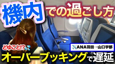 【ANA搭乗記】振替の協力金って何!?✈️機内ルーティンと富士山が見える席【羽田→山口宇部】