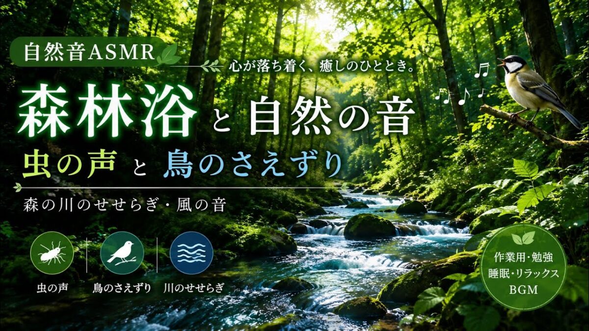 【自然音ASMR】森林浴🌿 虫の声と鳥のさえずり｜朝をゆったり迎える癒しBGM【広告なし】Relaxing Weekend Morning Music
