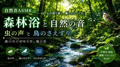 【自然音ASMR】森林浴🌿 虫の声と鳥のさえずり｜朝をゆったり迎える癒しBGM【広告なし】Relaxing Weekend Morning Music