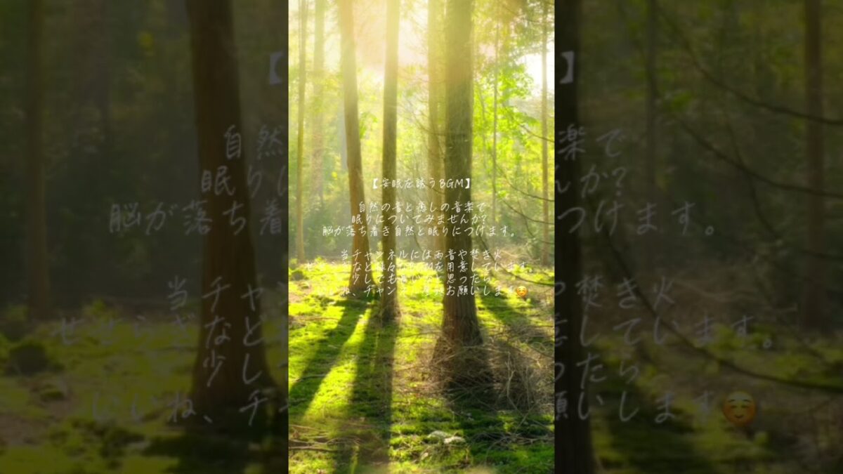 【瞑想・睡眠】まるで森林浴をしながらリラックスタイム/睡眠導入・勉強・ヒーリングミュージック・集中したい時のBGMなど